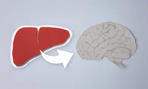 Czerwona wątroba i szary mózg połączone strzałką, symbolizujące wpływ problemów z wątrobą na mózg, czyli encefalopatię.