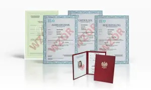 Gdzie zrobić kurs opiekuna osoby starszej? Sprawdź rekomendacje forum