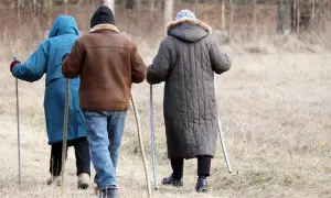 Trzy osoby idące z kijkami, dbające o swój układ odpornościowy poprzez aktywność fizyczną na świeżym powietrzu.