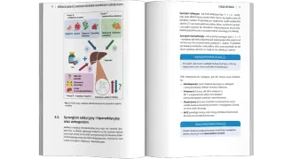 Schemat interakcji leków z wątrobą. Grupa A to inhibitory, B induktory enzymów, C nieokreślone działanie. Digoksyna może wchodzić w interakcje.