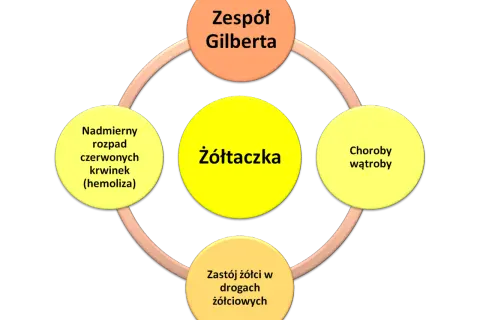 Schemat przedstawia żółtaczkę jako centralny element, powiązaną z zespołem Gilberta, chorobami wątroby, zastojem żółci i nadmiernym rozpadem czerwonych krwinek.