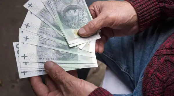 Dłonie seniora trzymają stos banknotów 100 zł. To może być pomoc z programu 800 plus dla seniorów.