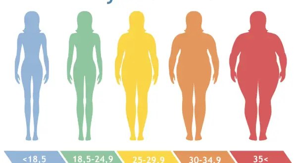 Pięć sylwetek kobiet o różnej budowie ciała, od szczupłej do bardzo otyłej, ilustruje kategorie BMI. Nadmierna masa ciała może prowadzić do zespołu metabolicznego.