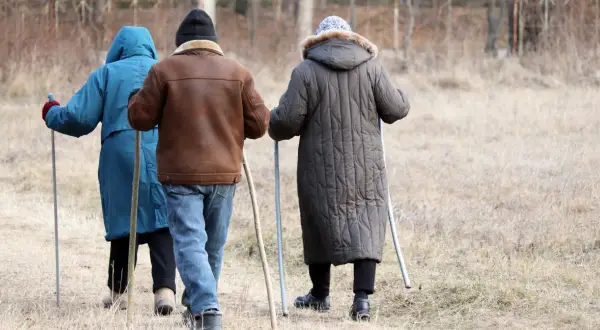 Trzy osoby idące z kijkami, dbające o swój układ odpornościowy poprzez aktywność fizyczną na świeżym powietrzu.