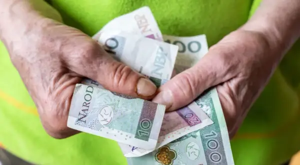 Dłonie trzymają polskie banknoty: 10, 20 i 100 zł. Zastanawiasz się, ile wynosi renta socjalna?