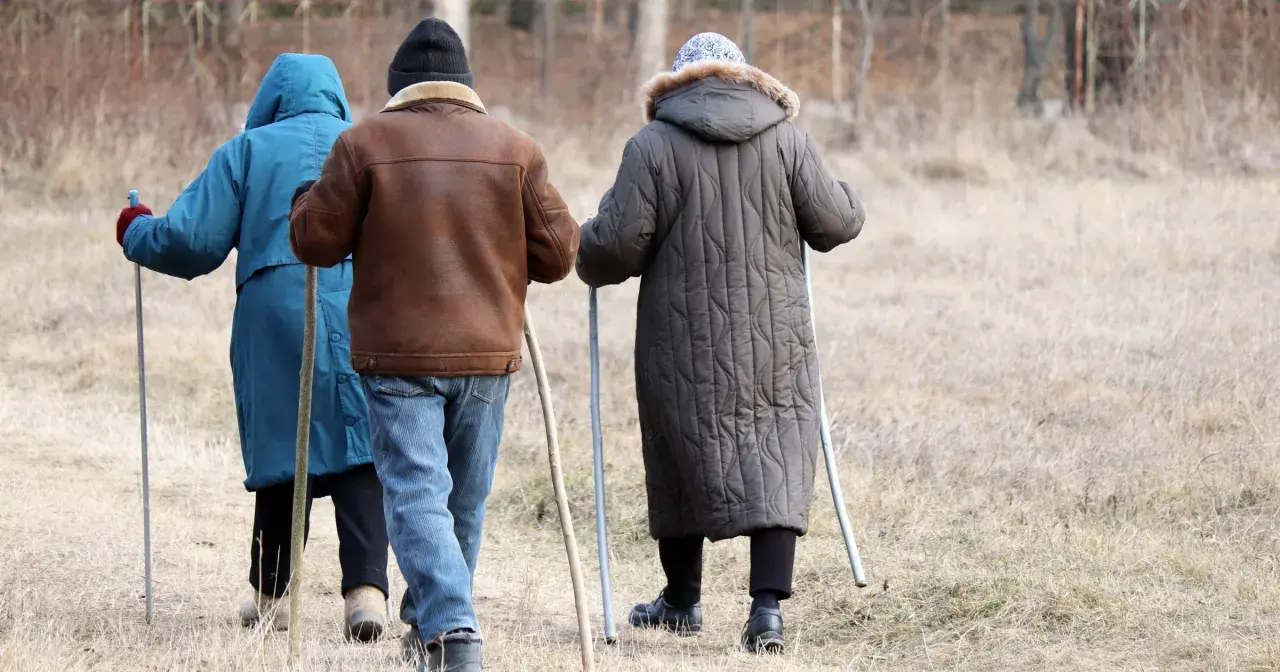 Trzy osoby idące z kijkami, dbające o swój układ odpornościowy poprzez aktywność fizyczną na świeżym powietrzu.