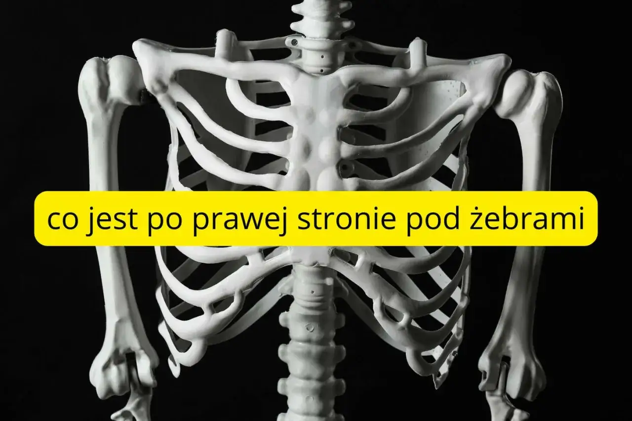 Szkielet ludzki z żółtym paskiem z napisem