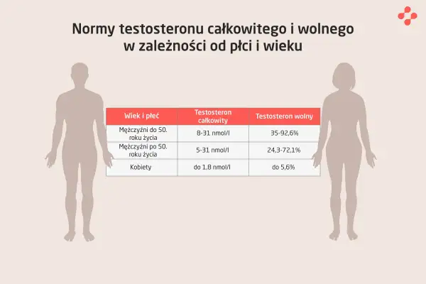Tabela norm testosteronu dla mężczyzn i kobiet, uwzględniająca wiek. Po 50. roku życia u mężczyzn poziom testosteronu spada, co może wiązać się z andropauzą.