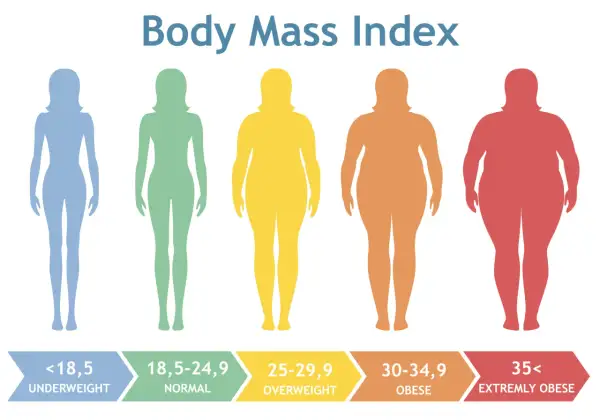 Pięć sylwetek kobiet o różnej budowie ciała, od szczupłej do bardzo otyłej, ilustruje kategorie BMI. Nadmierna masa ciała może prowadzić do zespołu metabolicznego.