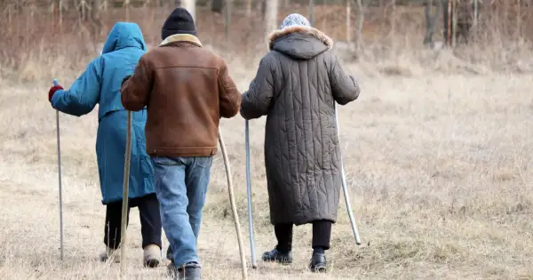 Trzy osoby idące z kijkami, dbające o swój układ odpornościowy poprzez aktywność fizyczną na świeżym powietrzu.