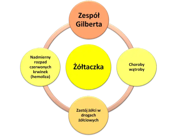 Schemat przedstawia żółtaczkę jako centralny element, powiązaną z zespołem Gilberta, chorobami wątroby, zastojem żółci i nadmiernym rozpadem czerwonych krwinek.