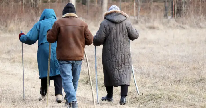 Trzy osoby idące z kijkami, dbające o swój układ odpornościowy poprzez aktywność fizyczną na świeżym powietrzu.